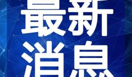 德国转会市场最新爆料视频,球星转会动态大揭秘！